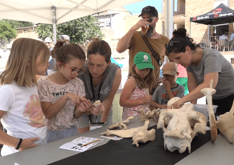 Desenes d’infants i famílies retrocedeixen milions d’anys amb Prehistoscopi, la primera fira didàctica de la prehistòria