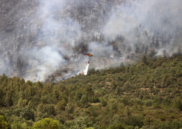 Els Bombers treballen per controlar el flanc dret del foc de Baldomar i evitar que s’obri cap a la vall del Segre