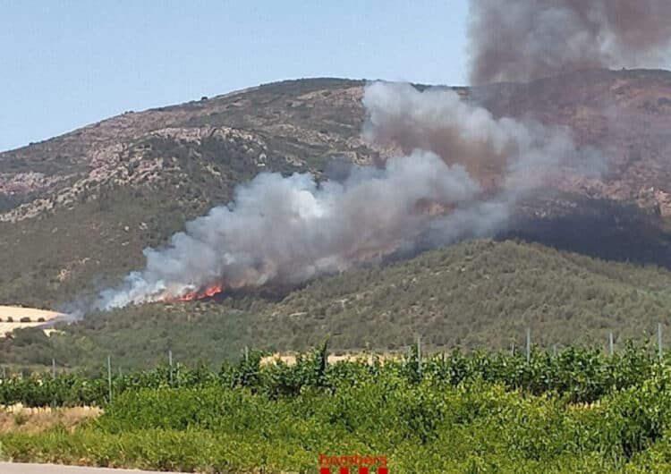 Actualització: Ja són 50 les hectàrees afectades per l’incendi a Baldomar