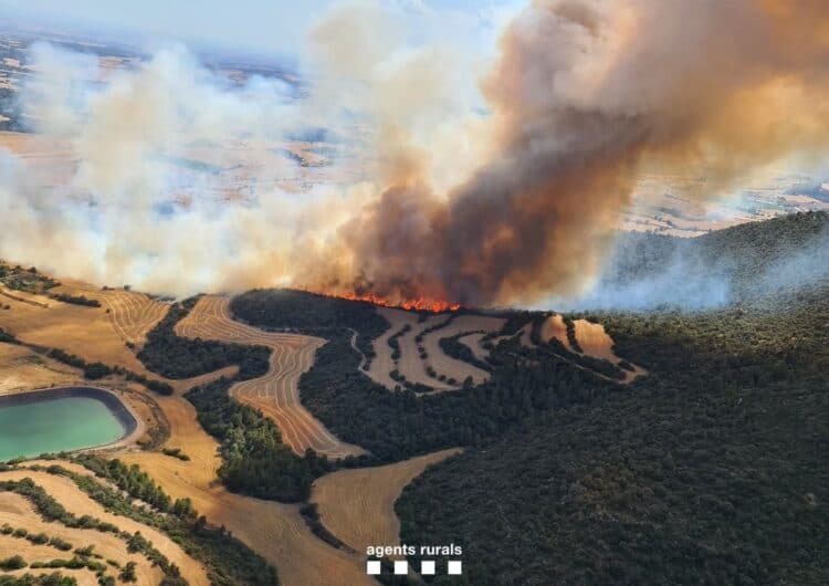 Els Bombers treballen en un nou foc a Artesa de Segre que ja ha afectat 75 hectàrees, meitat agrícoles meitat forestals