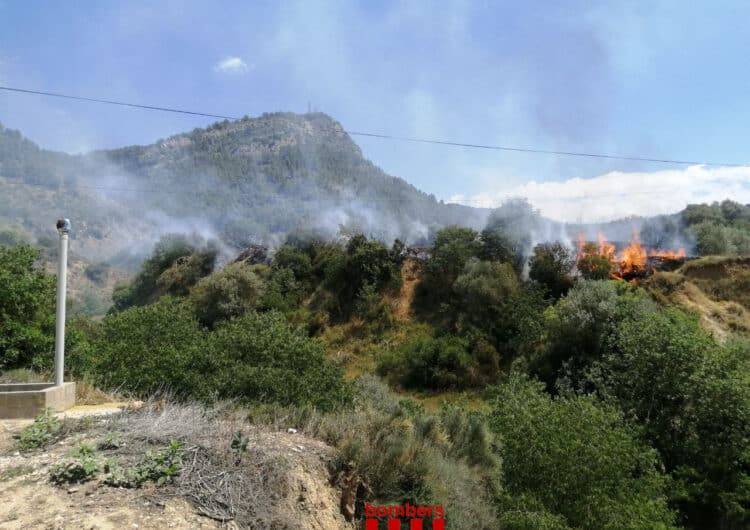 Es cremen més de 9 hectàrees de camps i bosc per un incendi a Camarasa