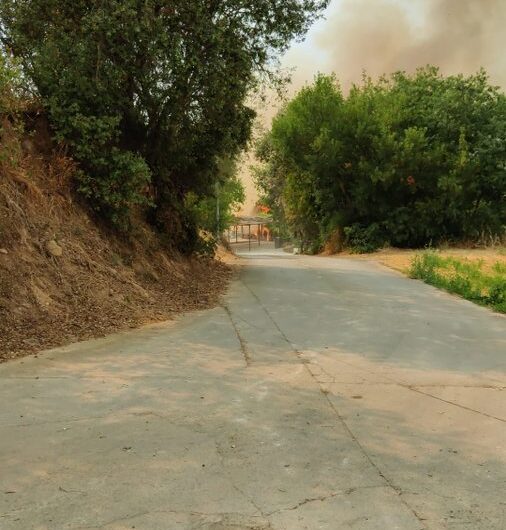 Un altre incendi afecta terreny de conreu a Foradada