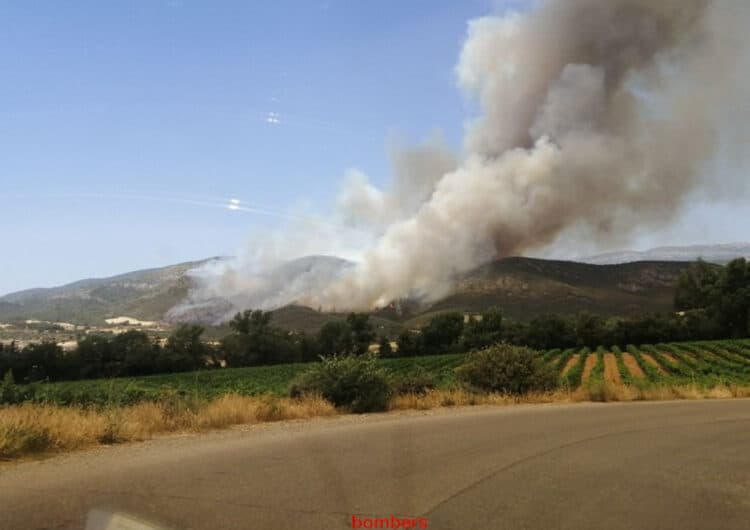 47 dotacions de Bombers treballen en un incendi al nucli de Baldomar, a Artesa de Segre