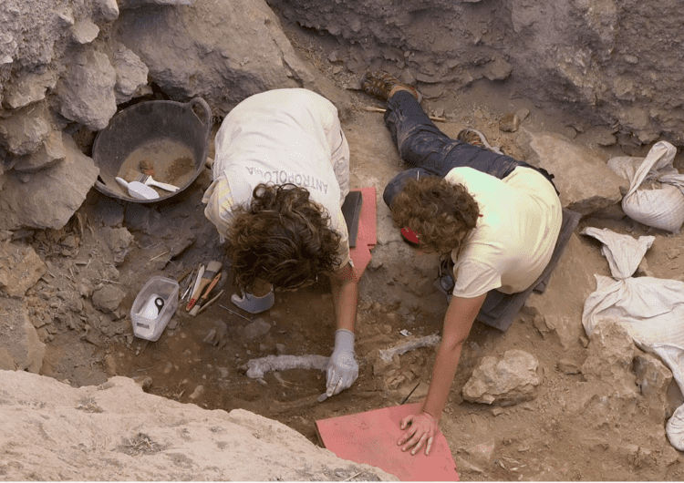 Posen en marxa un micromecenatge per avançar en l’estudi de l’homo sapiens Linya, la dona de la Noguera