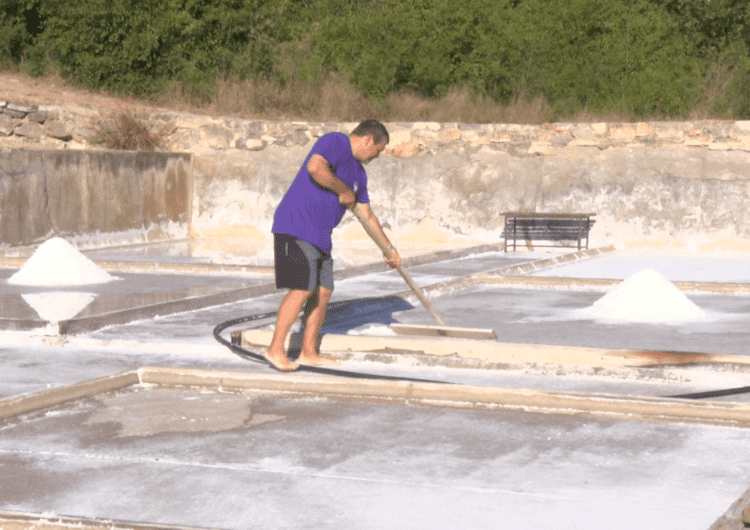 Les salines de Vilanova de la Sal tanquen temporada amb bones xifres de producció