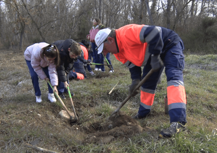 En marxa un any més el projecte ‘Reforestem els espais naturals de Balaguer’