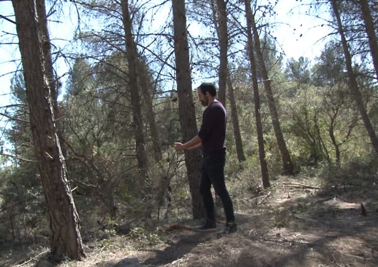 El Monestir de les Avellanes continua treballant el seu entorn natural amb l’objectiu de disminuir el risc d’incendi