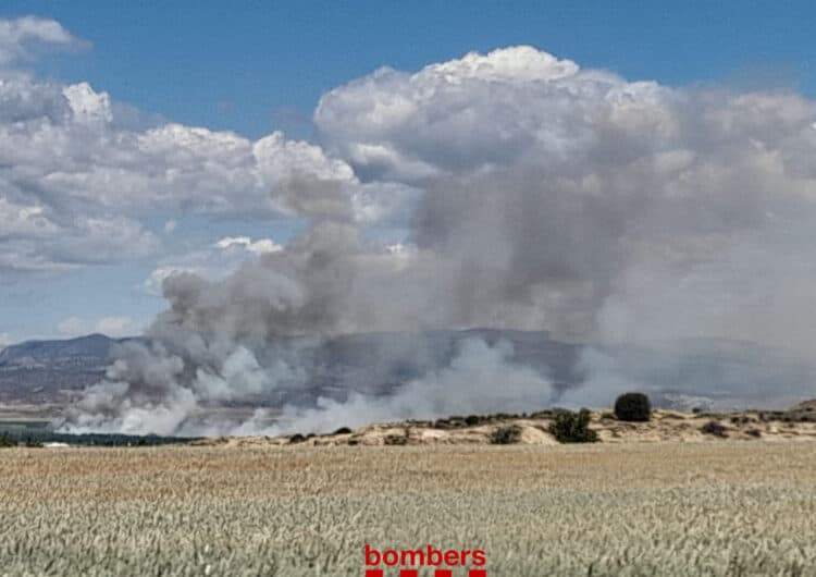 Un incendi entre Almenar i Algerri crema 10 hectàrees de vegetació de ribera