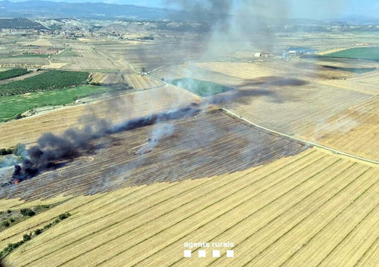 Extingit l’incendi agrícola d’Algerri, que ha afectat 8,9 hectàrees