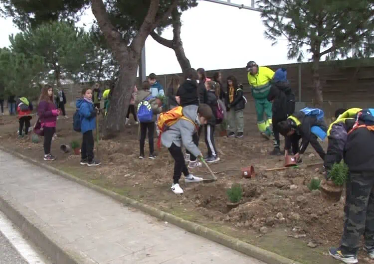L’alumnat de Balaguer participa en la plantada d’arbres