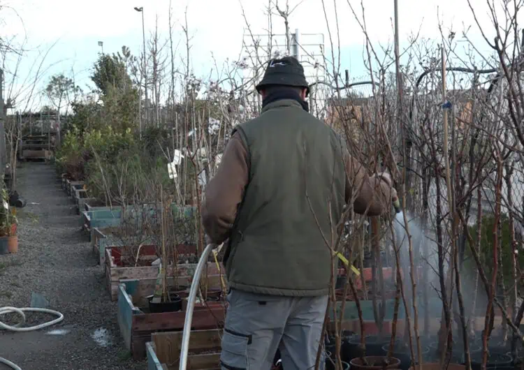 La sequera afecta també el gremi de jardineria