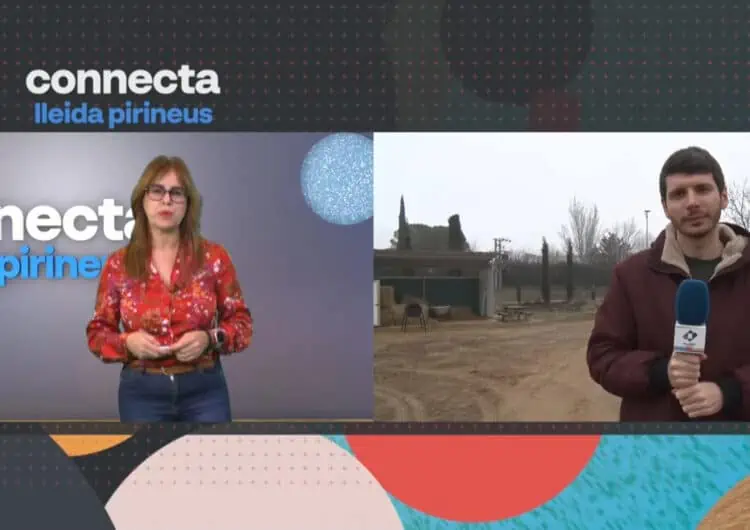 Connecta Lleida Pirineus:El futur de l’agricultura i ramaderia valoren les protestes dels pagesos