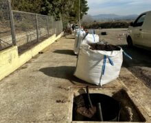 La Paeria de Balaguer planta arbres a la zona de l’Institut Almatà