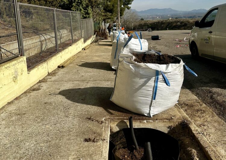 La Paeria de Balaguer planta arbres a la zona de l’Institut Almatà