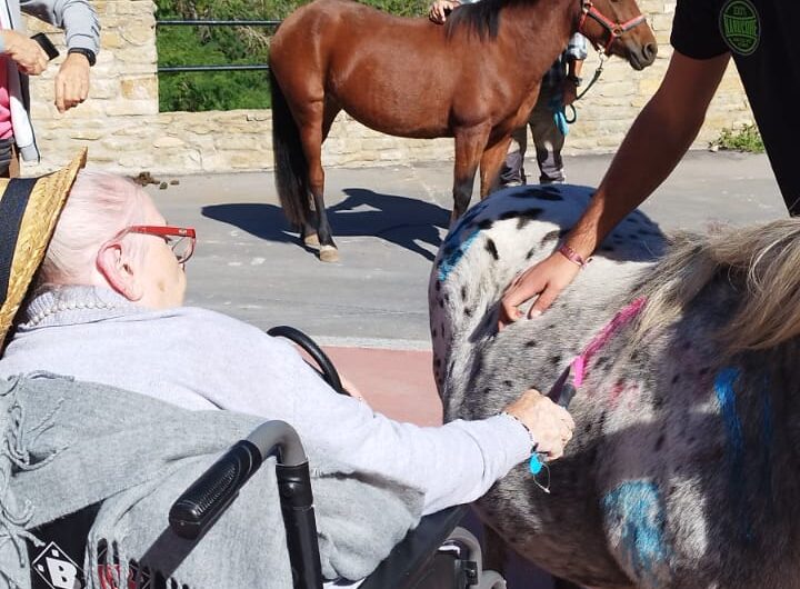Teràpia amb cavalls per als usuaris de la residència d’Àger