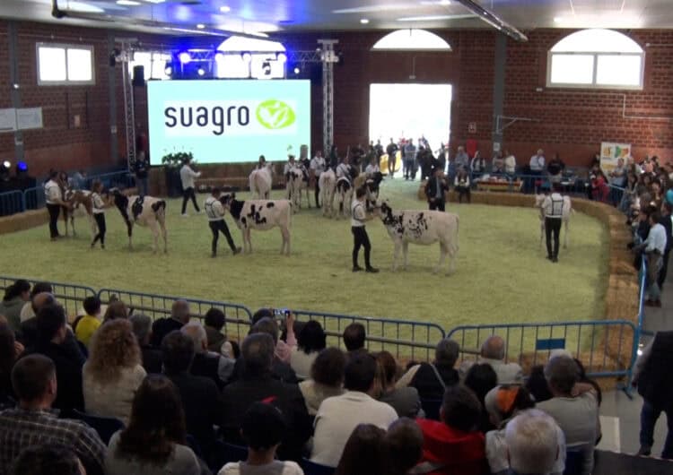 Vallfogona de Balaguer celebra de nou la Festa de la Vaca