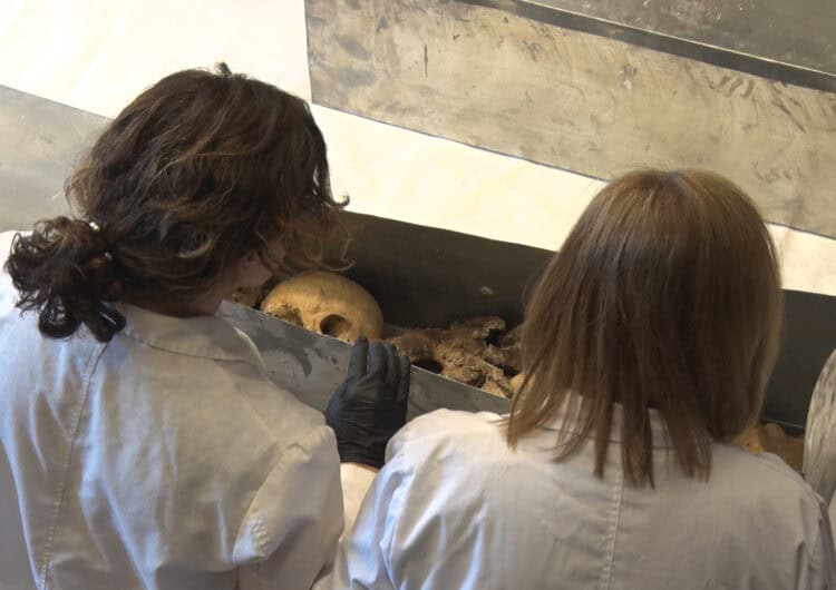Exhumen les restes òssies dels comtes d’Urgell per fer un estudi antropològic