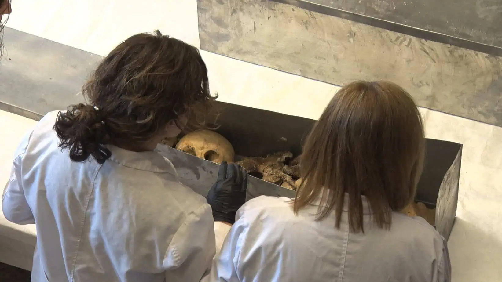 Exhumen les restes òssies dels comtes d’Urgell per fer un estudi antropològic
