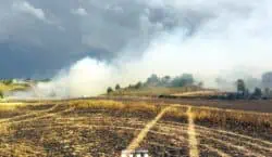 Un incendi forestal a la Noguera afecta ja 100 hectàrees i obliga a tallar dues carreteres i confinar Plandogau (Oliola)