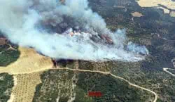 Estabilitzat l’incendi d’Os de Balaguer, que ha afectat prop de 16 hectàrees de terreny majoritàriament forestal