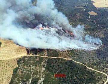 Estabilitzat l’incendi d’Os de Balaguer, que ha afectat prop de 16 hectàrees de terreny majoritàriament forestal