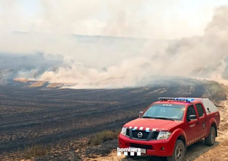 Els Bombers tanquen el cap de setmana amb prop de 100 avisos per incendis de vegetació i unes 800 hectàrees afectades