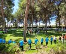 Balaguer commemorarà el Dia Universal de la Sardana