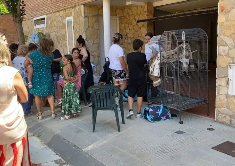 Desnonen una dona d’edat avançada a Balaguer