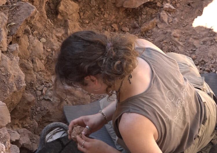 L’excavació a la Cova Gran de Santa Linya continua descobrint-nos els neandertals del pre-Pirineu