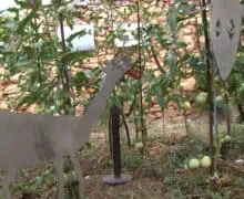 L’art i la natura s’uneixen en una nova Exposició a l’Hort de Santa Linya