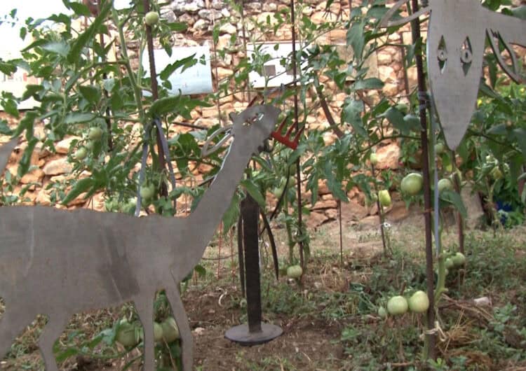 L’art i la natura s’uneixen en una nova Exposició a l’Hort de Santa Linya