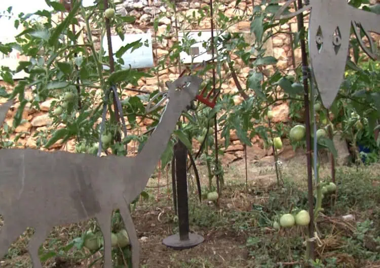 L’art i la natura s’uneixen en una nova Exposició a l’Hort de Santa Linya