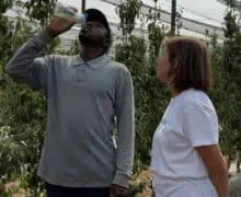 Investigadores de la UdL estudien com prevenir la deshidratació dels temporers