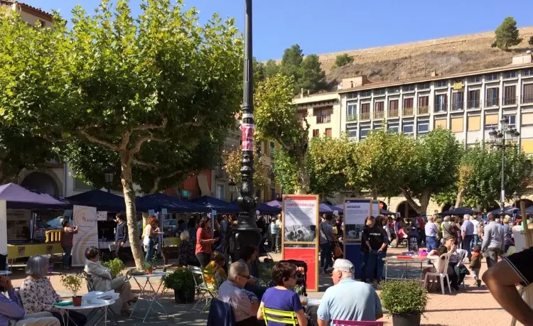 La Fira d’Entitats de Balaguer celebra la seva 25a edició amb més de quaranta participants