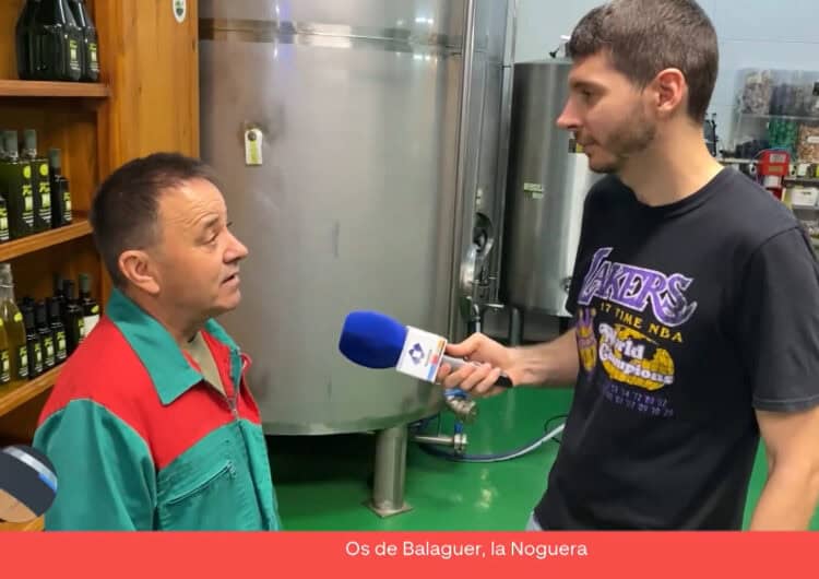 Connecta Lleida Pirineus: Comença la campanya d’oli als molins de la Noguera