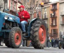 Balaguer no falla en la tradició dels Tres tombs de Sant Antoni