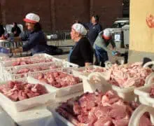 Artesa de Segre celebra la 47a Matança del Porc