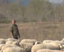 Pla Oví Algerri: el projecte d’arrelament al territori