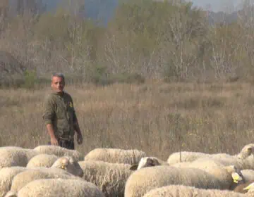 Pla Oví Algerri: el projecte d’arrelament al territori