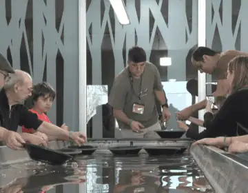 La Recerca d’Or en família, activitat estrella per la Setmana Santa a Balaguer