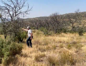 Baldomar reclama ajuts per l’incendi de fa quatre anys