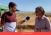Connecta Lleida Pirineus: Nova campanya d’excavacions al Pla d’Almatà 